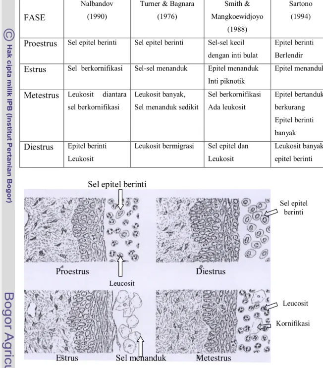Tabel 1. Gambaran mikroskopis hasil ulasan vagina pada berbagai     fase siklus estrus