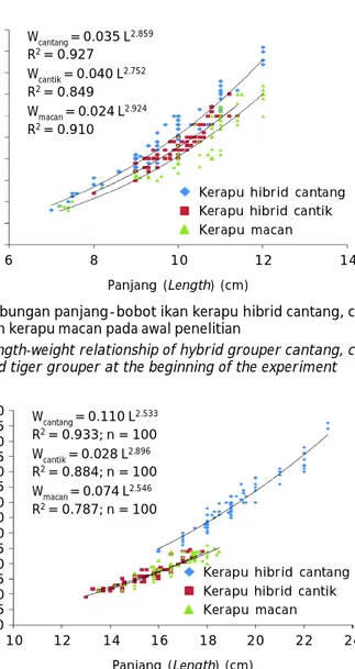 Figure 6. Length-weight relationship of hybrid grouper cantang, cantik, and tiger grouper at the end of the experiment