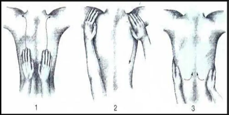 Gambar 1. Teknik Euffleurage  2.  Friction 