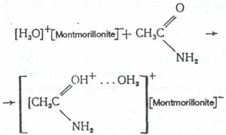 Gambar 3.  Kombinasi  Amida dengan Proton menjadi Kation yang Terikat pada  Montmorilonit 