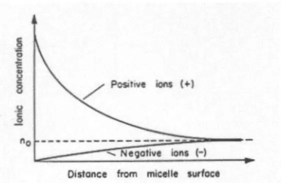 Gambar 3.4. Perbandingan agihan kation (Na) monovalen yang terhidrasi kuat dengan  kation divalen (Ca) yang juga terhidrasi kuat di dalam lapisan ganda baur
