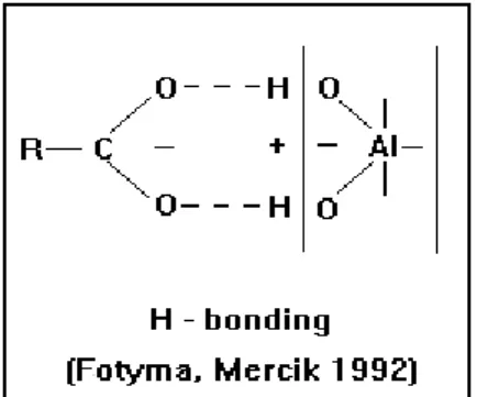 Gambar 1.8.  Gaya Van der Waal (dalam Sparks, 1995)  Gaya  Van  der  Waal  (Gambar  1.8),  berlaku  untuk  semua  molekul,  namun    agak  lemah