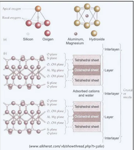 Gambar 1.2. Struktur Dasar Mineral Liat Silikat  