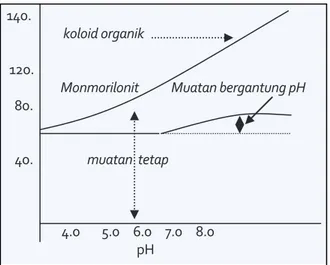 Gambar  1.7.  Muatan Bergantung pH dan KTK pada Permukaan Humus (Brady, 1974)  Dalam  praktek  pertanian,  bahan  organik  dikenal  sebagai  pupuk  hijau,  pupuk  kandang,  kompos,  atau humus