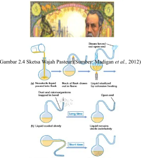 Gambar 2.4 Sketsa Wajah Pasteur (Sumber: Madigan et al., 2012)