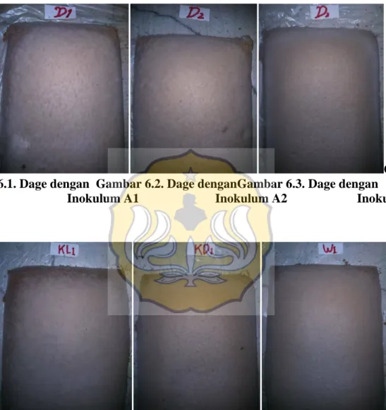 Gambar  6.1. Dage dengan  Gambar 6.2. Dage denganGambar 6.3. Dage dengan 