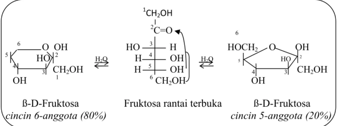 Gambar 5. Reaksi fruktosa bila dilarutkan ke dalam air         Sumber. Fessenden dan Fessenden (1997)  