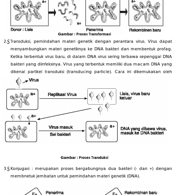 Gambar : Proses Tranduksi 