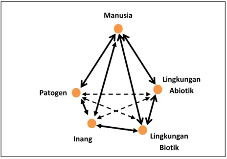 Gambar 3. Konsep Timbulnya Penyakit  