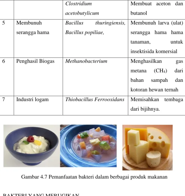 Gambar 4.7 Pemanfaatan bakteri dalam berbagai produk makanan 