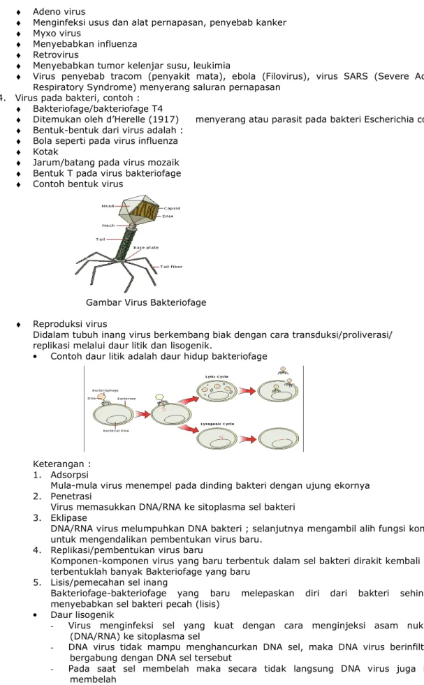 Gambar Virus Bakteriofage 