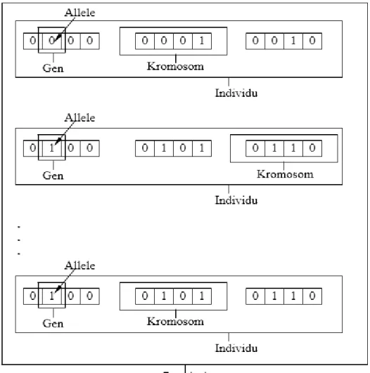Gambar 2.3 Ilustrasi Istilah dalam Algoritma Genetika 