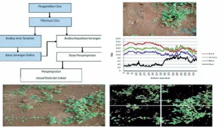 Gambar 5  Skenario kerja sistem pengendalian gulma berbasis  pertanian presisi (Solahudin, Seminar, Astika, dan  Buono 2010)