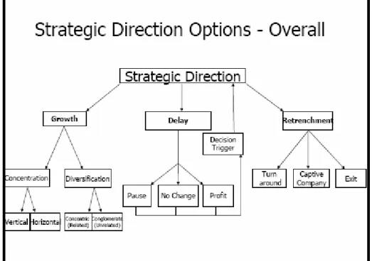 Gambar 2.2: Corporate strategic Choice 