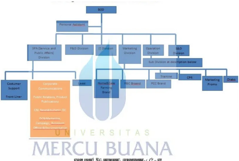 Gambar 4.1 Struktur Organisasi PT CNI  Sumber : Company Profile PT CNI 