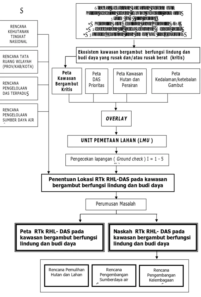 Gambar 2. Bagan alir penyusunan RTk RHL-DAS pada kawasan bergambut berfungsi  lindung dan budi daya 