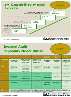 Gambar : IA Capability Model Levels dan Matrik 