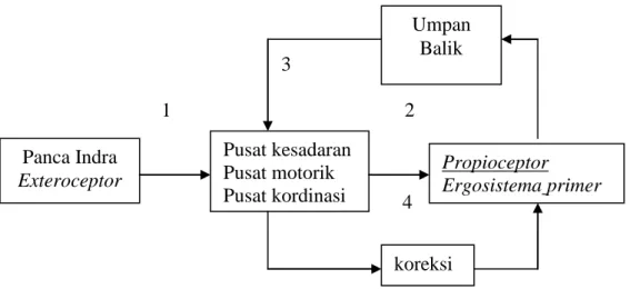 Gambar  2.1.  Proses  Belajar  Keterampilan  Gerak  Adaptasi  dari    Giriwijoyo dalam Priyono (1999:11) 