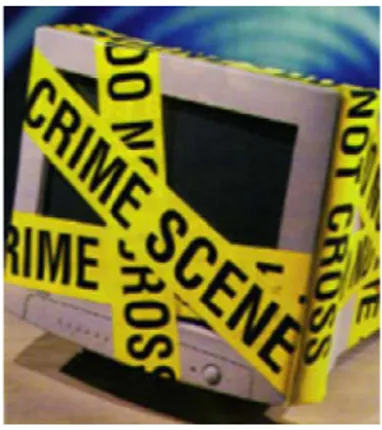 gambar 4.1 Tindakan pidana cybercrime (sumber : http://www.enr.state.nc.us, 2007 )