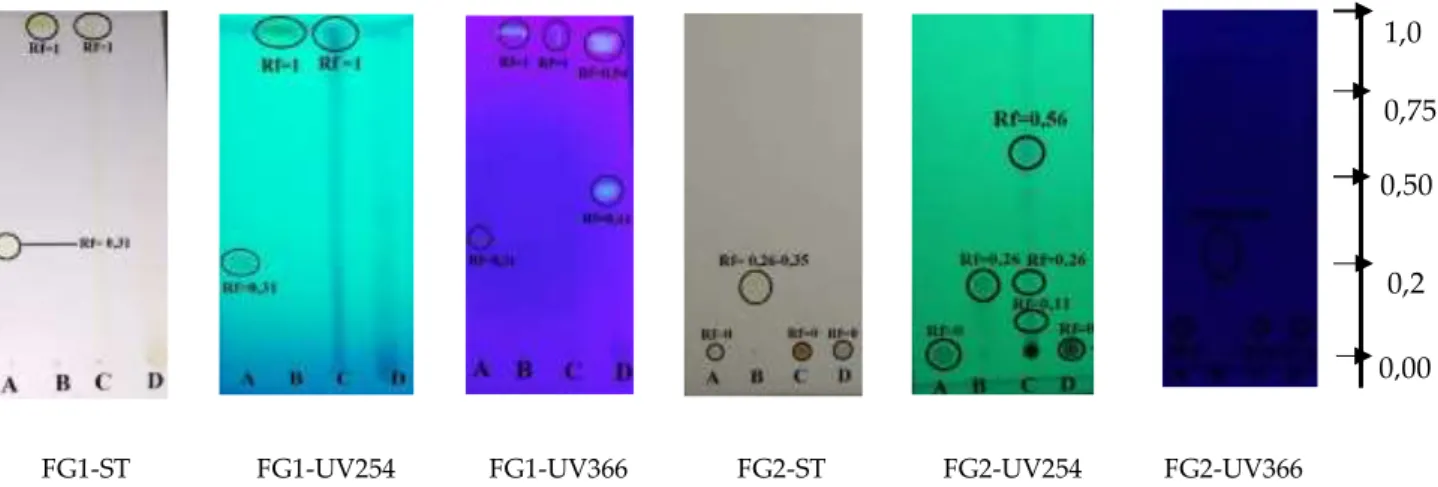 Gambar 2. Plat KLT dengan Fase Gerak (FG) pada Sinar Tampak (ST), Sinar UV 254 nm, dan Sinar  UV 366 nm dengan sampel A=    Rutin, B= Kuersetin, C= Ekstrak Metanolik, D= Fraksi Etil Asetat 