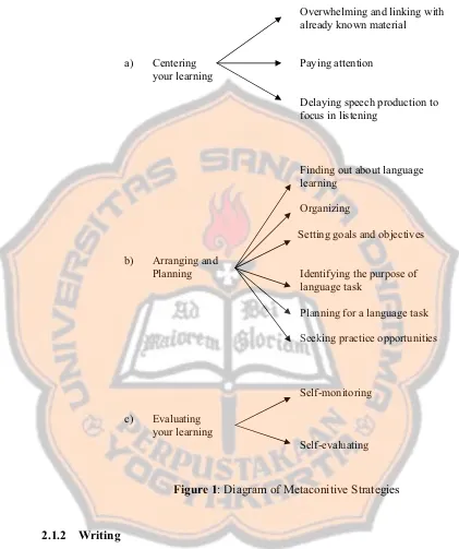 Figure 1: Diagram of Metaconitive Strategies 