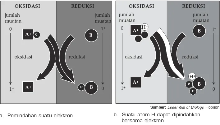 Gambar 2.4 Reaksi redoks