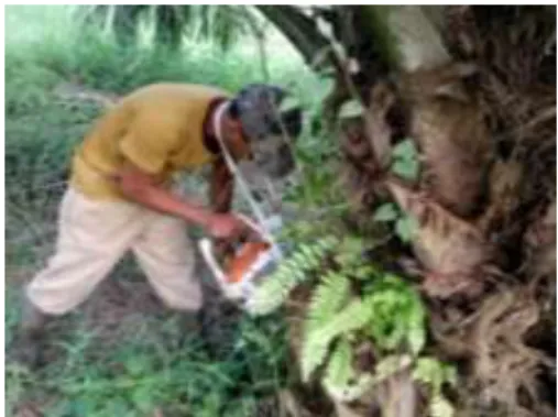 Gambar 3.6 Pengeboran Batang Kelapa Sawit 