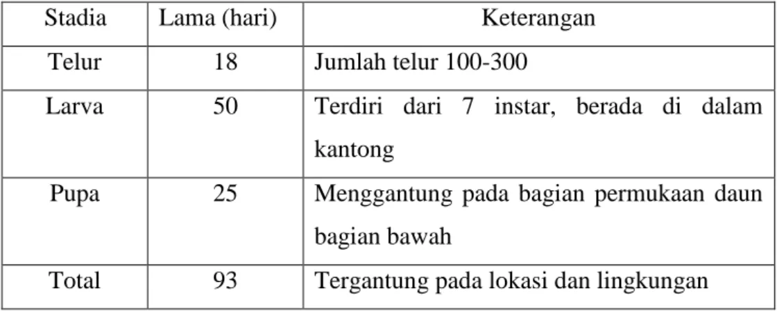 Tabel 2.1. Siklus Hidup Ulat Kantong (M. plana) 