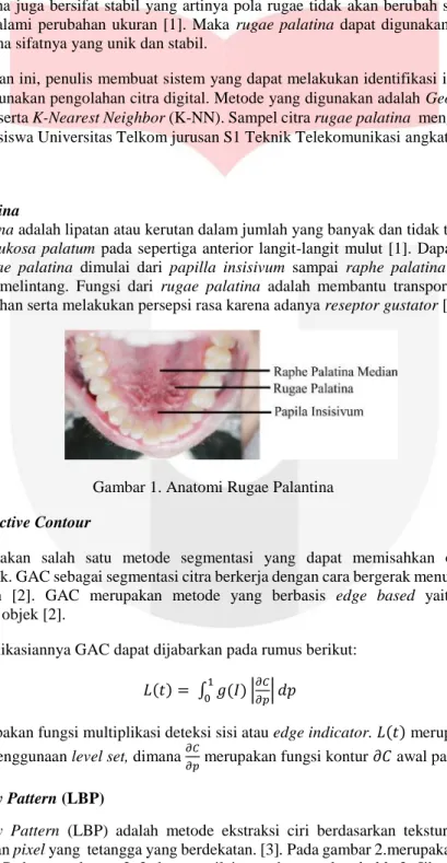 Gambar 1. Anatomi Rugae Palantina  2.2 Geometric Active Contour 