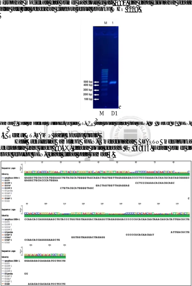 Gambar 2. Hasil amplifikasi multiplex-one step RT-PCR pada isolate referen virus DEN-I; M : marker; D1 : DEN-I 