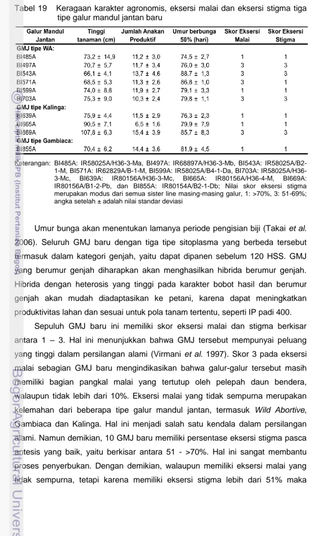 Tabel  19      Keragaan karakter  agronomis,  eksersi  malai  dan  eksersi  stigma  tiga  tipe galur mandul jantan baru  