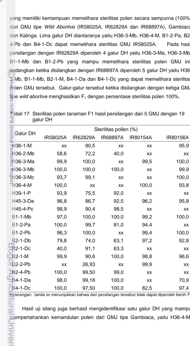 Tabel 17  Sterilitas polen tanaman F1 hasil persilangan dari 5 GMJ dengan 19  galur DH 