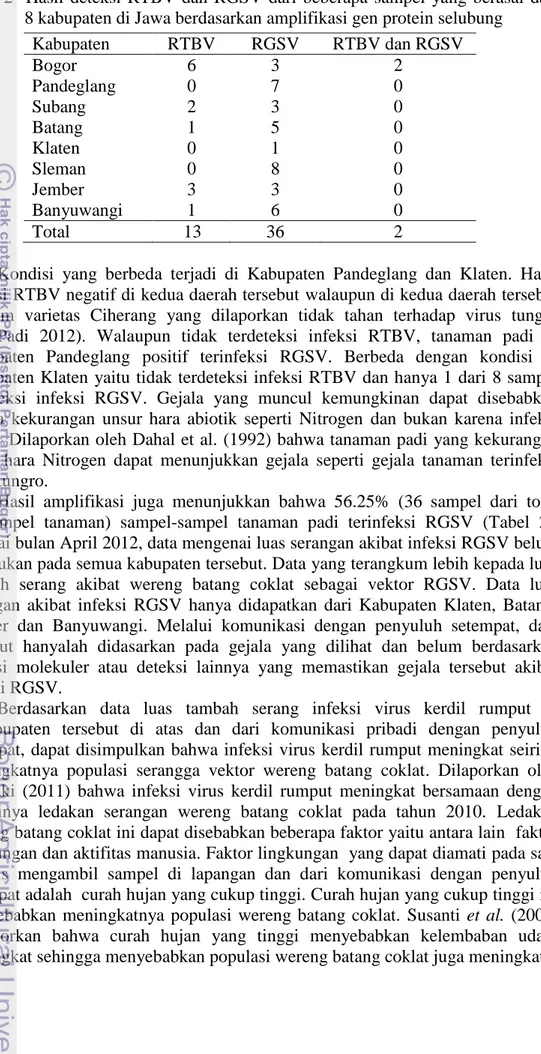 Tabel  2    Hasil  deteksi  RTBV  dan  RGSV  dari  beberapa  sampel  yang  berasal  dari     8 kabupaten di Jawa berdasarkan amplifikasi gen protein selubung 