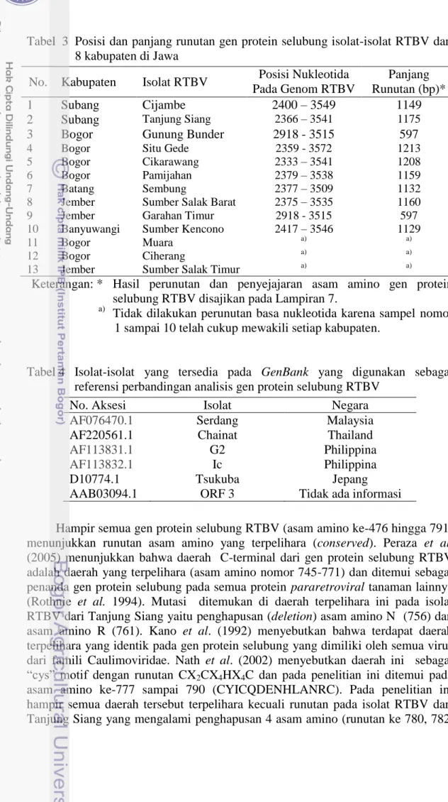 Tabel  3  Posisi dan panjang runutan gen protein selubung isolat-isolat RTBV dari  8 kabupaten di Jawa   