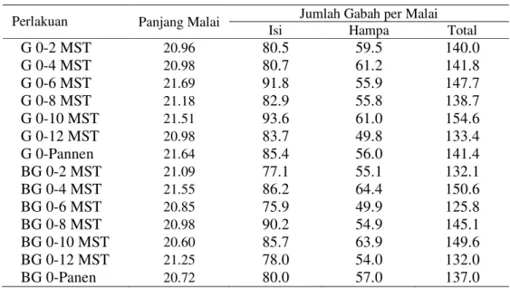 Tabel 11. Panjang malai dan jumlah gabah per malai padi hibrida pada  berbagai periode kompetisi gulma 