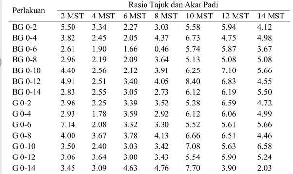 Tabel 6. Pengaruh Periode Kompetisi Padi dan E. crus-galli terhadap Rasio Bobot  Kering Tajuk dan Akar Padi 