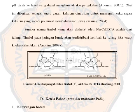 Gambar 4. Reaksi pengkhelatan timbal (2+) oleh Na2CaEDTA (Katzung, 2004) 