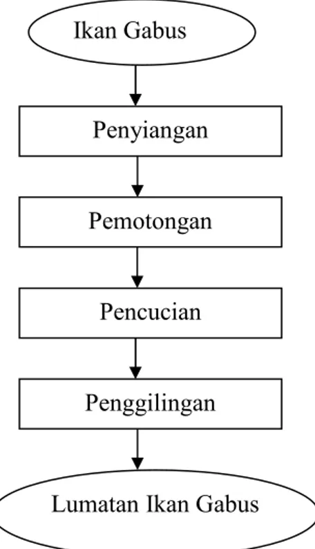 Gambar 6. Diagram alir proses pembuatan lumatan ikan gabus (Risma Sari, 2018) Pencucian Blanching Penghalusan Pasta Bayam Penyiangan Pencucian  Pemotongan Penggilingan 