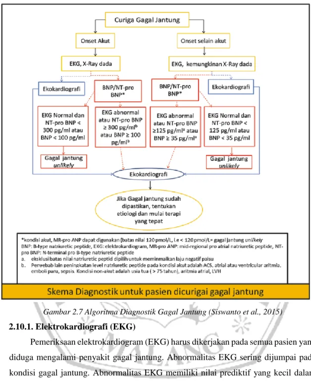 Gambar 2.7 Algoritma Diagnostik Gagal Jantung (Siswanto et al., 2015)  2.10.1. Elektrokardiografi (EKG) 