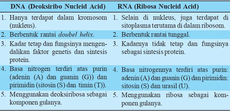 Tabel 3.3. Perbedaan DNA dengan RNA