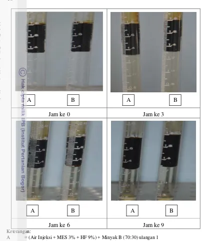 Gambar 9. Hasil analisis kelakuan fasa formula larutan acid stimulation agent 