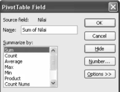 Gambar 1-6: Fungsi-fungsi Excel yang dipergunakan untuk membuat  Summary (ringkasan/ikhtisar)