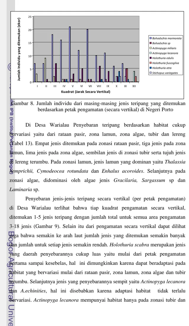 Gambar 8. Jumlah individu dari masing-masing jenis teripang yang ditemukan berdasarkan petak pengamatan (secara vertikal) di Negeri Porto Di Desa Warialau Penyebaran teripang berdasarkan habitat cukup bervariasi yaitu dari rataan pasir, zona lamun, zona al