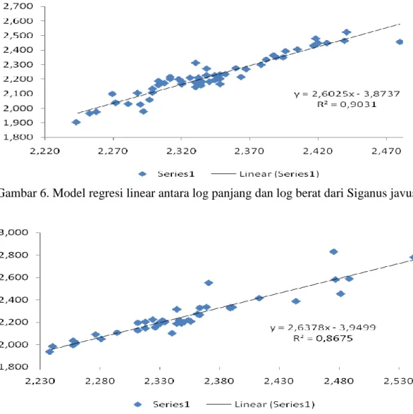 Gambar 6. Model regresi linear antara log panjang dan log berat dari Siganus javus jantan  