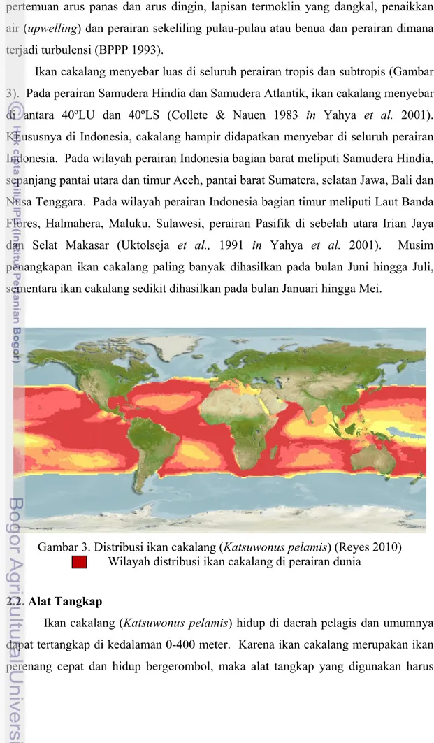 Gambar 3. Distribusi ikan cakalang (Katsuwonus pelamis) (Reyes 2010)  (        Wilayah distribusi ikan cakalang di perairan dunia 