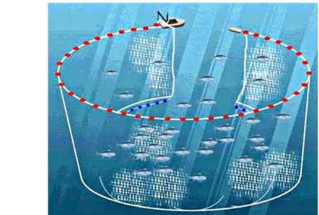 Gambar 4. Alat tangkap purse seine (pukat cincin) (Hermawan 2010) 