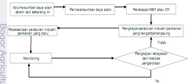 Gambar 5. Diagram alir prosedur pengelolaan sumberdaya (DKP &amp; JICA 2009) 
