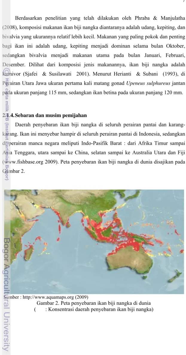 Gambar 2. Peta penyebaran ikan biji nangka di dunia  (       : Konsentrasi daerah penyebaran ikan biji nangka) 