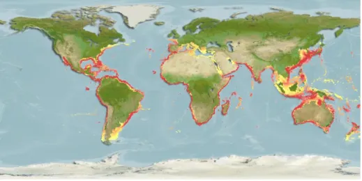 Gambar 4. Peta distribusi ikan layur (http://www.aquamaps.org) 