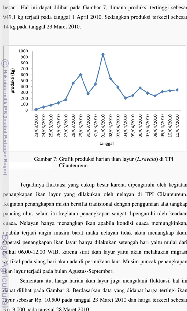 Gambar 7: Grafik produksi harian ikan layur (L.savala) di TPI      Cilauteureun 